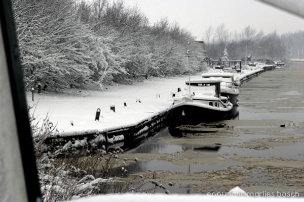 2003-winter-003