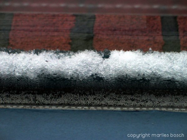 2003-winter-004