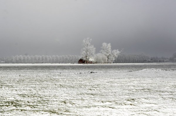 2003-winter-007