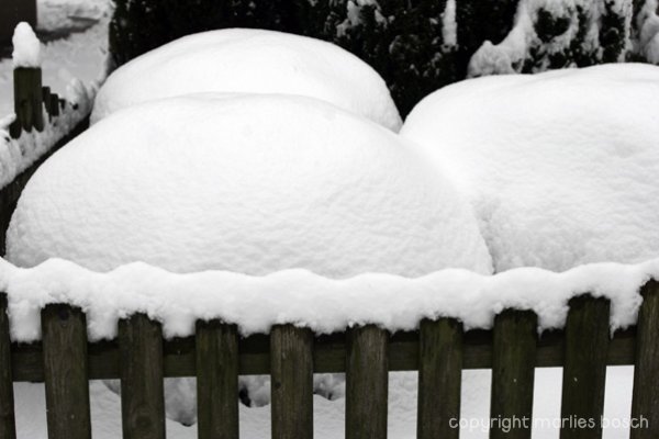 2003-winter-009