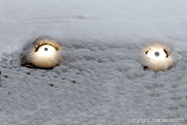 2003-winter-010