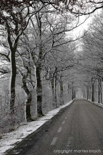 2003-winter-011