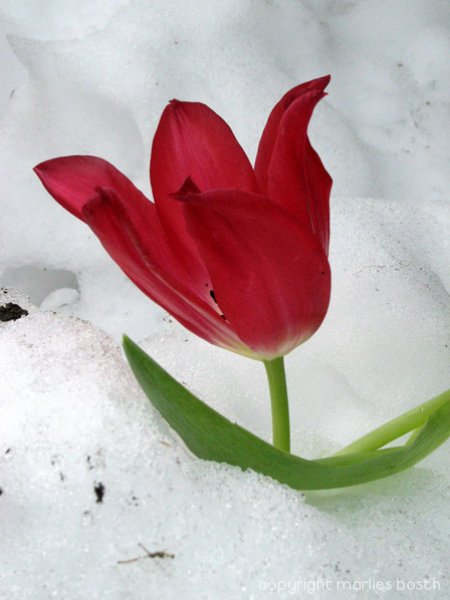 2003-winter-013