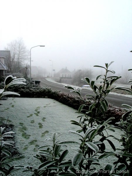 2003-winter-014