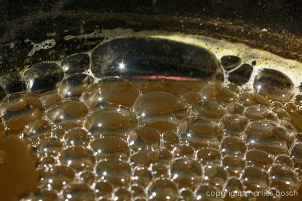 2010-natuur-006