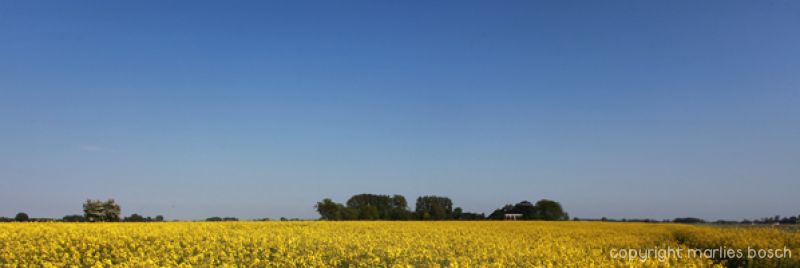 2010-natuur-011