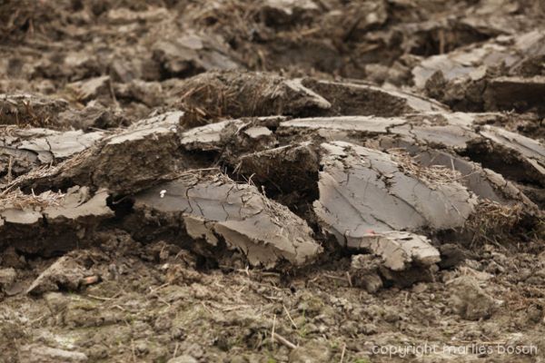 2010-natuur-015
