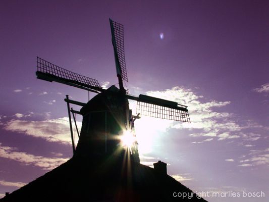 2010-natuur-020