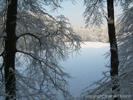 2010-natuur-021