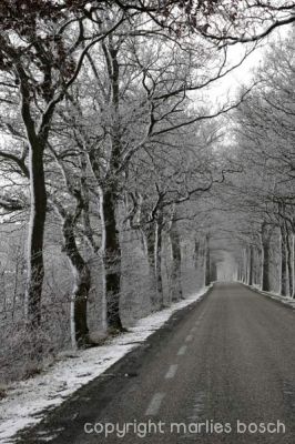 2010-natuur-022