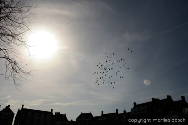 2010-natuur-027