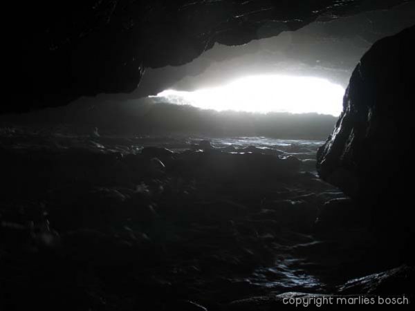img_1288784535_492
