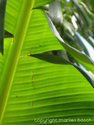img_1288795410_2