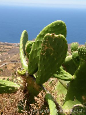 img_1288795423_682