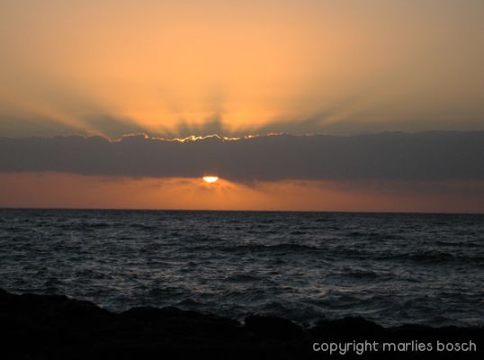 img_1288795452_707
