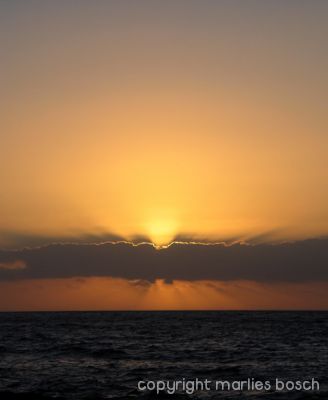 img_1288795455_700