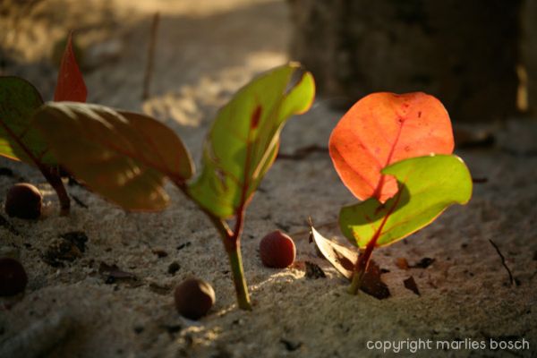 img_1288787858_768