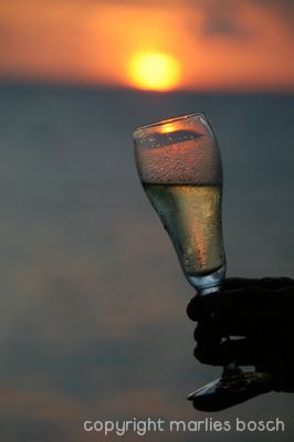 img_1288787875_651