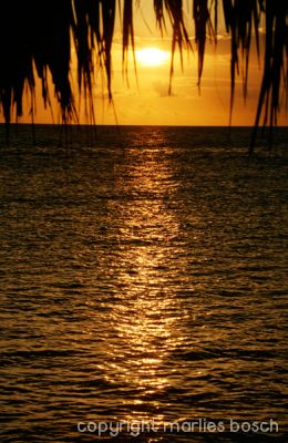 img_1288787905_678