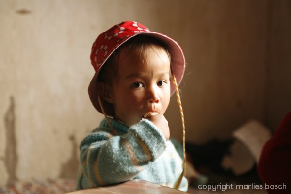 2009 Ladakh