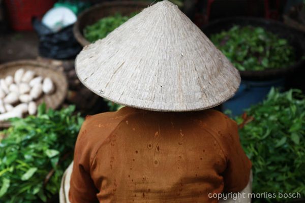 2009 Vietnam