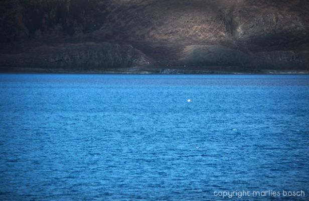 img_1288558136_551