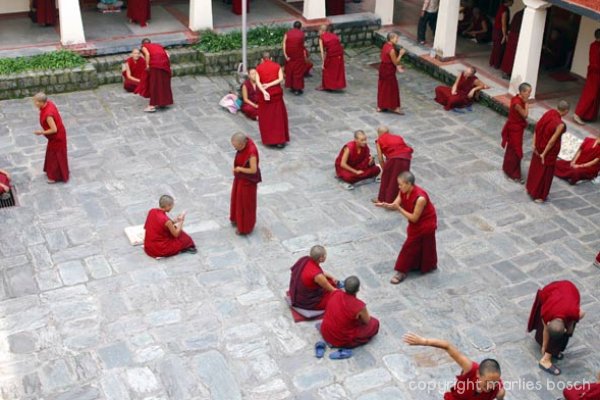 nonnen-dharamsala-008