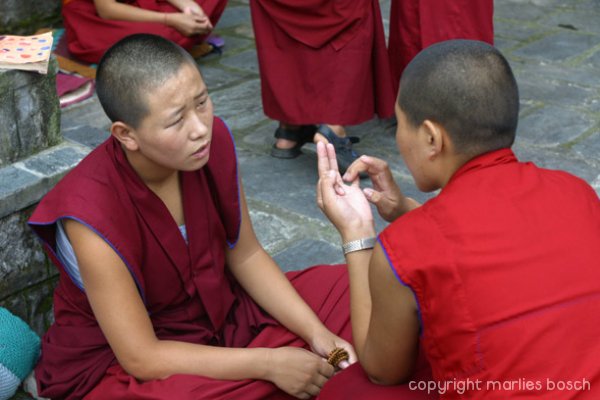 nonnen-dharamsala-009