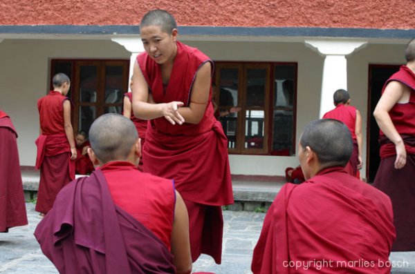 nonnen-dharamsala-012