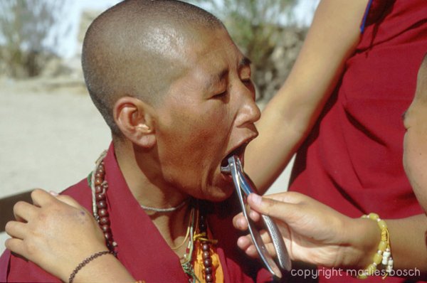 nonnen-ladakh-002