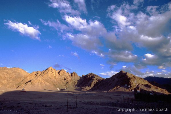 nonnen-ladakh-010