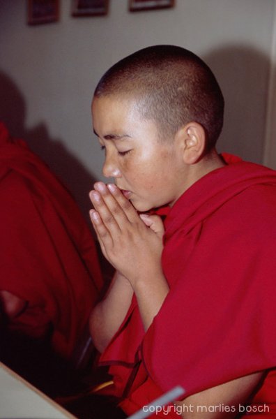 nonnen-ladakh-012