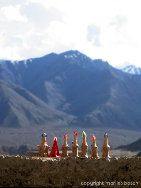nonnen-ladakh-019