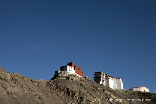 nonnen-ladakh-021