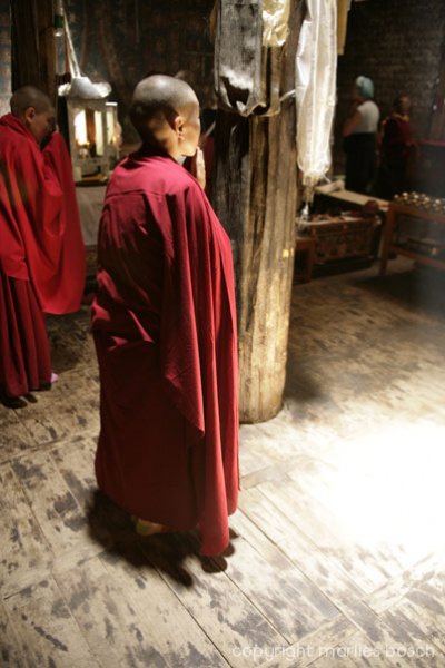 nonnen-ladakh-024