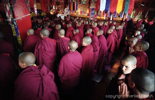 nonnen-nepal-007