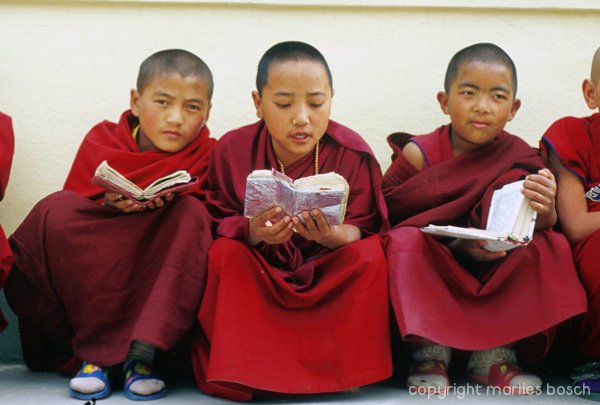 nonnen-nepal-008
