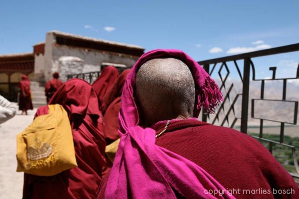 2010-nuns-ladakh-002