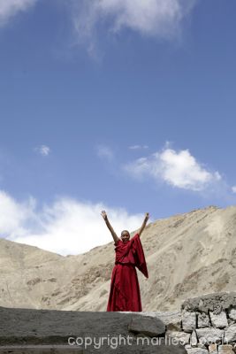 2010-nuns-ladakh-010