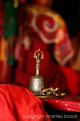 2010-nuns-ladakh-011