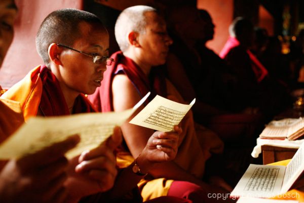 2010-nuns-ladakh-013