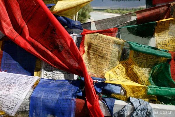 2010-nuns-ladakh-015