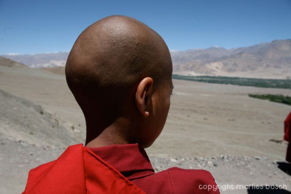2010-nuns-ladakh-018