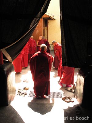 2010-nuns-ladakh-024