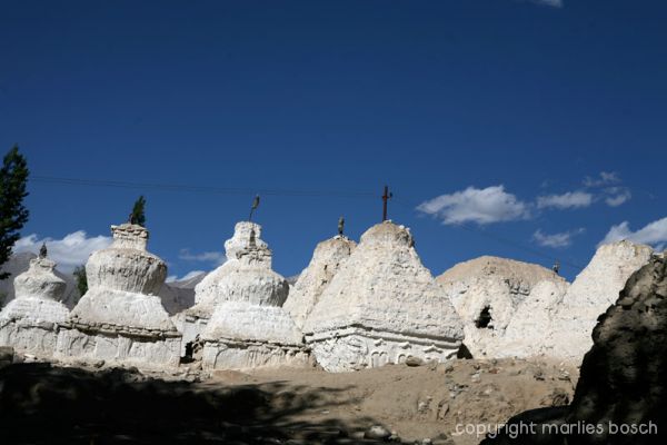 2010-nuns-ladakh-028