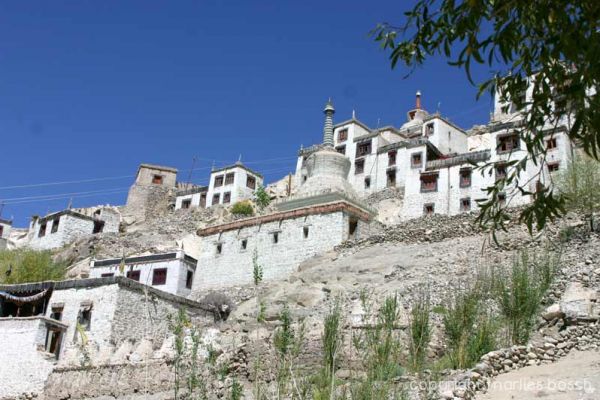 2010-nuns-ladakh-033