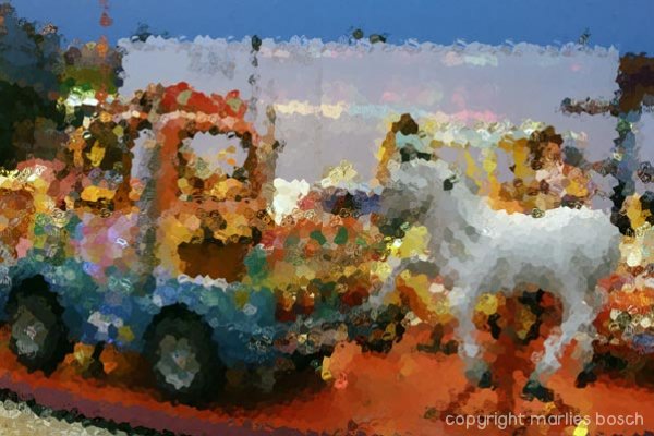 2010-nuns-move-010