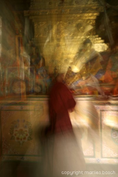 2010-nuns-move-020