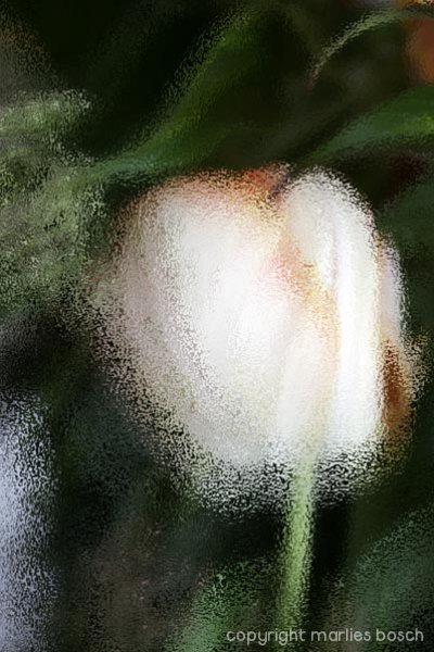 abstracte-fotografie-023