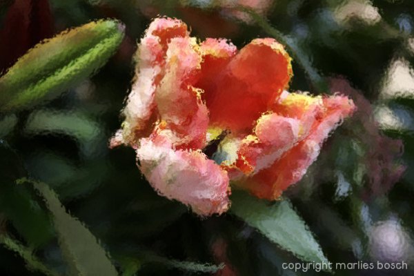 abstracte-fotografie-024